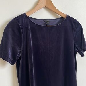 -Loft Velvet Dark Purple Short Sleeve Top XSP